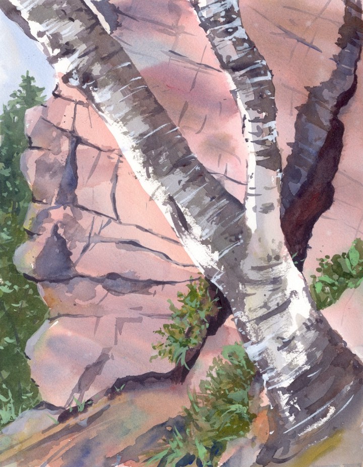Birches at the base of Geronimo -- water color