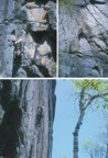 Full sequence of Dennis climbing Fear and Loathing in Keene Valley