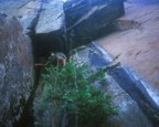 Bones approaches the crux roof/corner