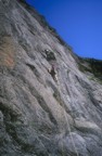 Dennis leads pitch 4, the first Shield pitch