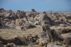 Beautiful Alabama Hills