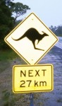 Watch out for Kangaroos