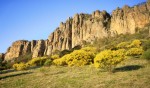 Organ Pipes in the early morning light