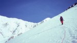 Mark, low down on the ridge