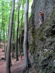 An open but amazingly dark forest with a pretty good crag. Rayko runs it out to the first bolt.