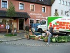 Buying strawberries and other vegies