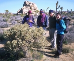 Checking out the pencil cactus