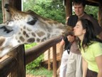 Lucie kisses a giraffe named Lynn