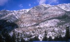 The town of Ouray from the Camp Bird Mine Road (county road 361); you can see Cascade Falls in the red cliff band in the background