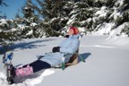 Lucie lounging in the snow in the meadow