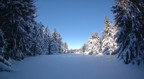 The meadow near out house