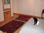 Posey and George on the bed in the basement bedroom