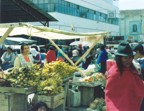 Typical market scene -- lots of women in bowler hats