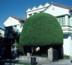 Los Alpes, the nicest hotel on the planet (or Quito)