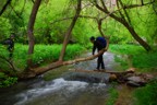 Tenuous brook crossing