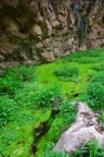Mossy creek in the canyon