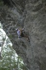 Bustin' a move on the Bonsai Wall