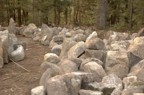 Stones gathered from the property for the chimney