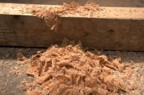 Pile of sawdust generated during the raising