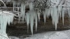 The shape of Trinity earlier in the season; it took an extended cold spell to enable the column to touch down and thicken