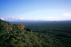 View from our approach to Elephant Rocks