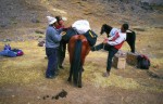 Loading the horses at base camp